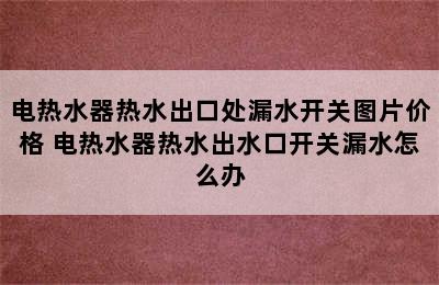 电热水器热水出口处漏水开关图片价格 电热水器热水出水口开关漏水怎么办